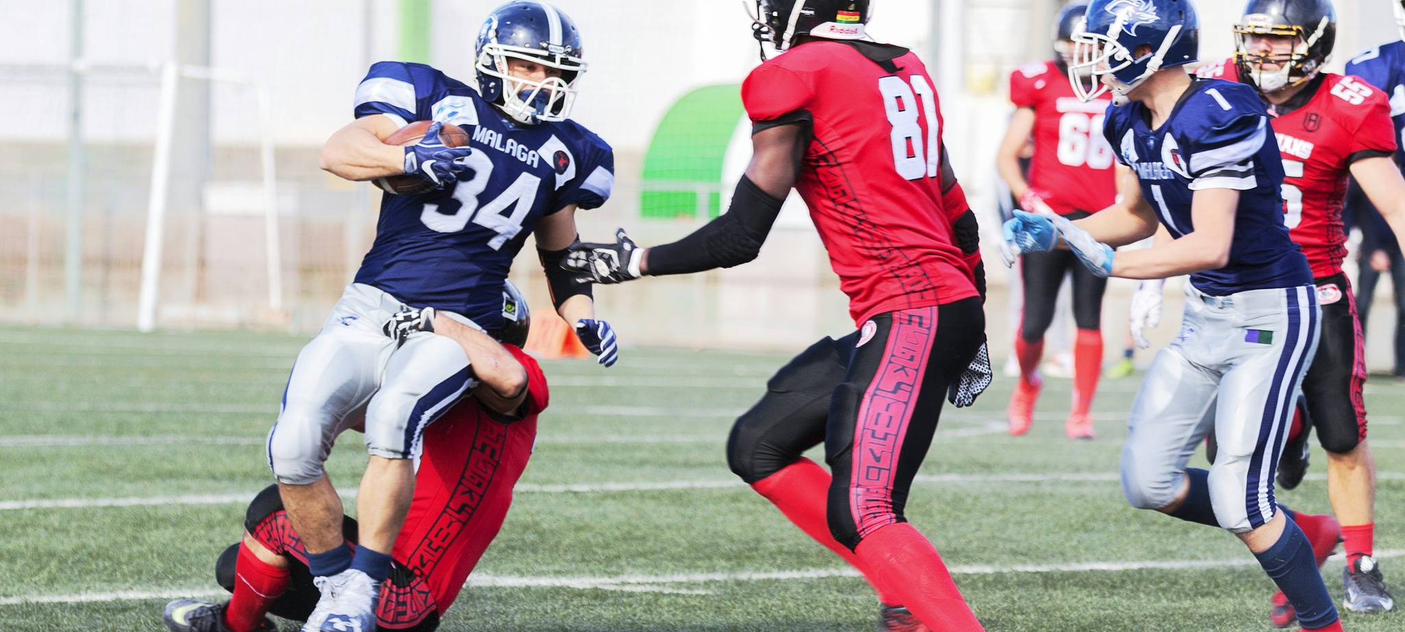 MG满冠体育简介