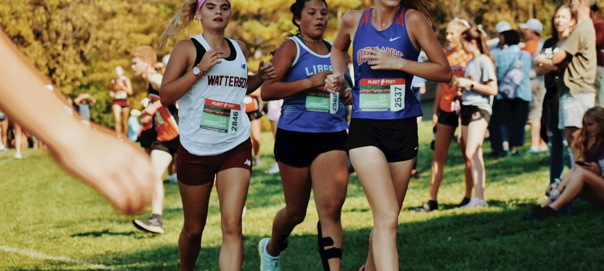 MG满冠体育简介